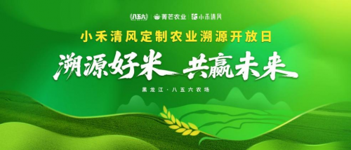 科技兴粮引领突破,东北大米小禾清风加快对接南方消费市场