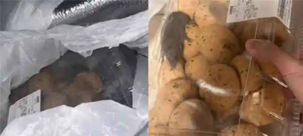 山姆致歉“麻薯盒内有活老鼠”:初步判断在取货点放置期间 被周边虫害偶然侵入所致 山姆致歉“麻薯盒内有活老鼠”:初步判断在取货点放置期间 被周边虫害偶然侵入所致