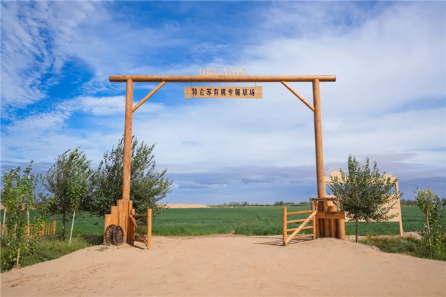 乳业考卷:14亿人的“营养大题”,蒙牛如何作答?(图3) 乳业考卷:14亿人的“营养大题”,蒙牛如何作答?(图3)